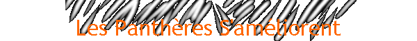 Les Panthres S'amliorent