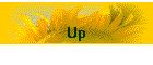 Up